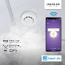 domo-44.webp
