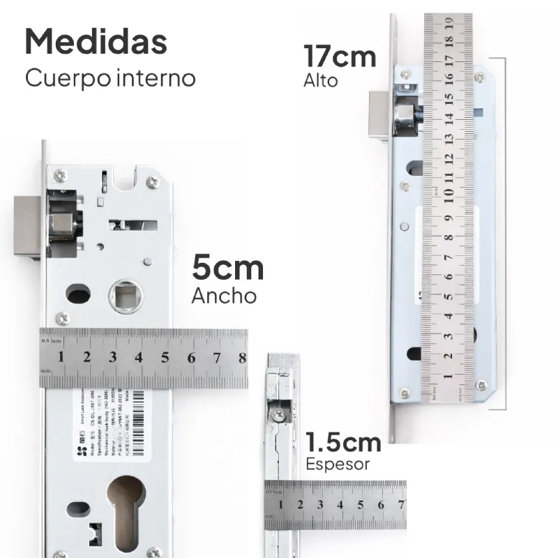 medidas-cuerpo-interno (1).webp