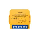 Smart Switch Dimerizable Wifi 60W-100W 110V-220V